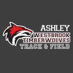 Track & field decal